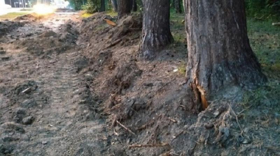 Вандализм среди белого дня: в Новосибирске уничтожают старожилов